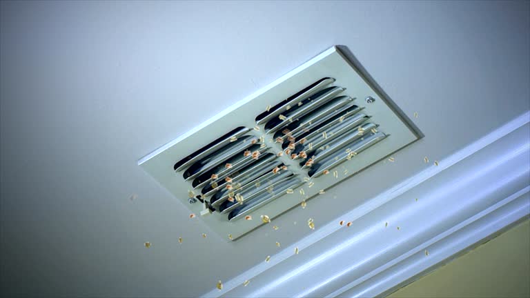  Palm Shores, FL Airduct Cleaning Pros