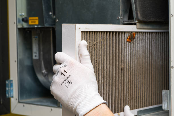 Best Residential Air Duct Cleaning  in Palm Shores, FL